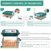 36 Egg Incubator,Incubators for Hatching Eggs with Automatic Egg Turning,Humidit