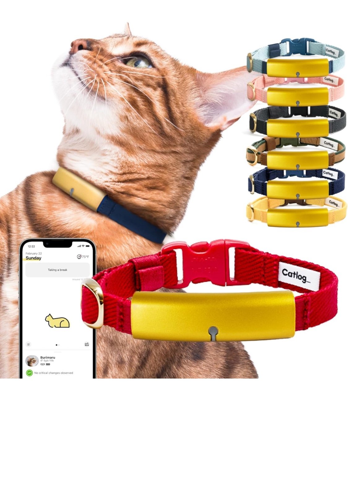 Health Tracker for Cats - Smart Cat Collar with Safety Breakaway Buckle for Indo