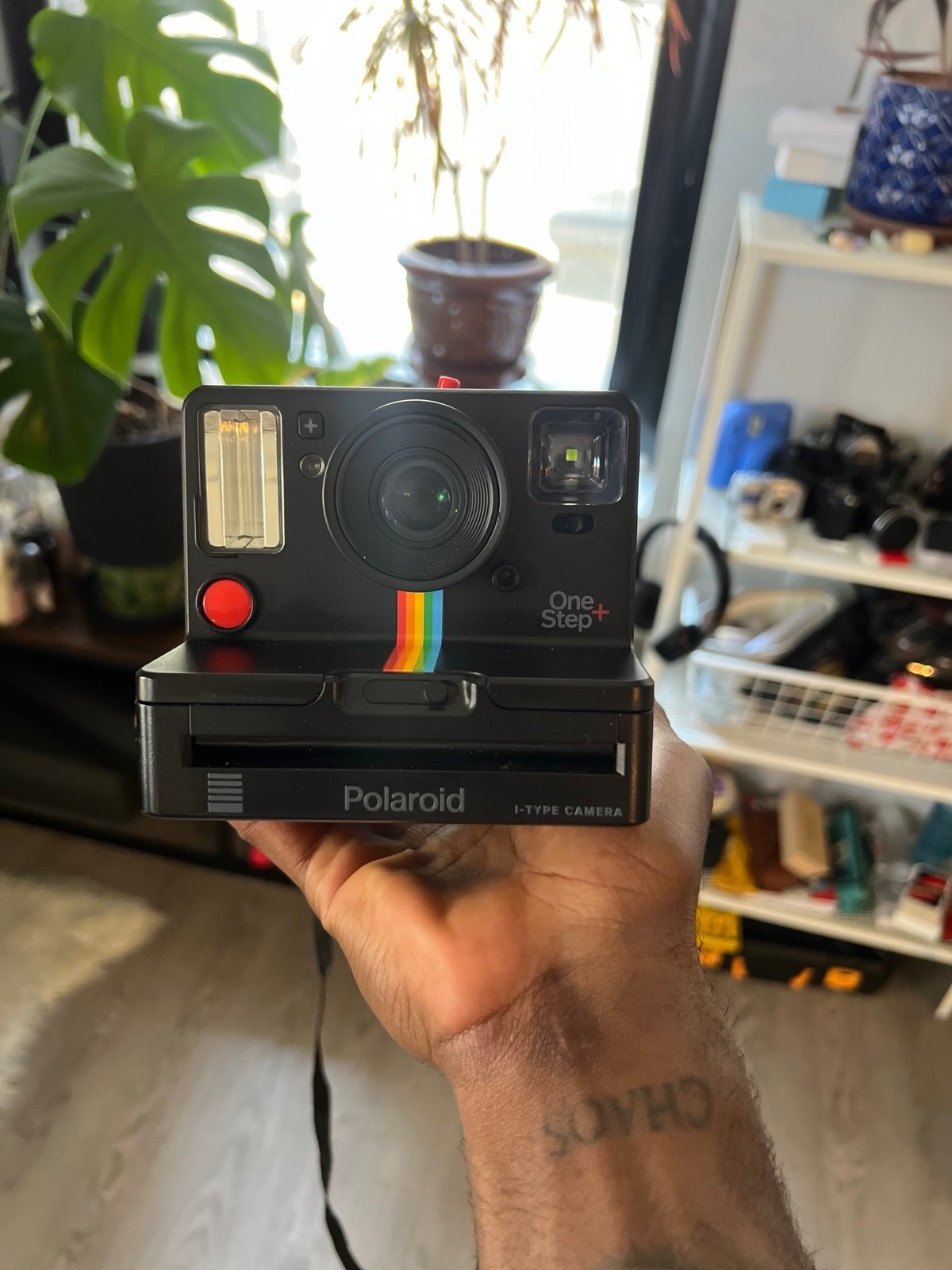 Polaroid