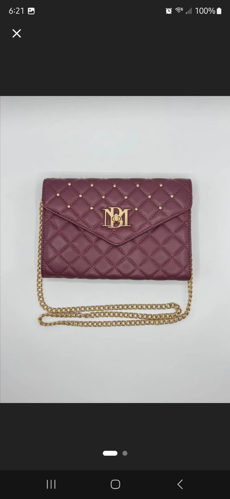 Badgley Mischka slim crossbody