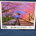 Sakura Railway Crossing Incline 500-Piece Jigsaw Puzzle Woody Panel Set