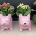Target Frenchie planters