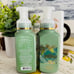 Bath & Body Works White Iris & Cedarwood hand soaps