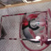 Pokemon etb acrylic case lot of 2