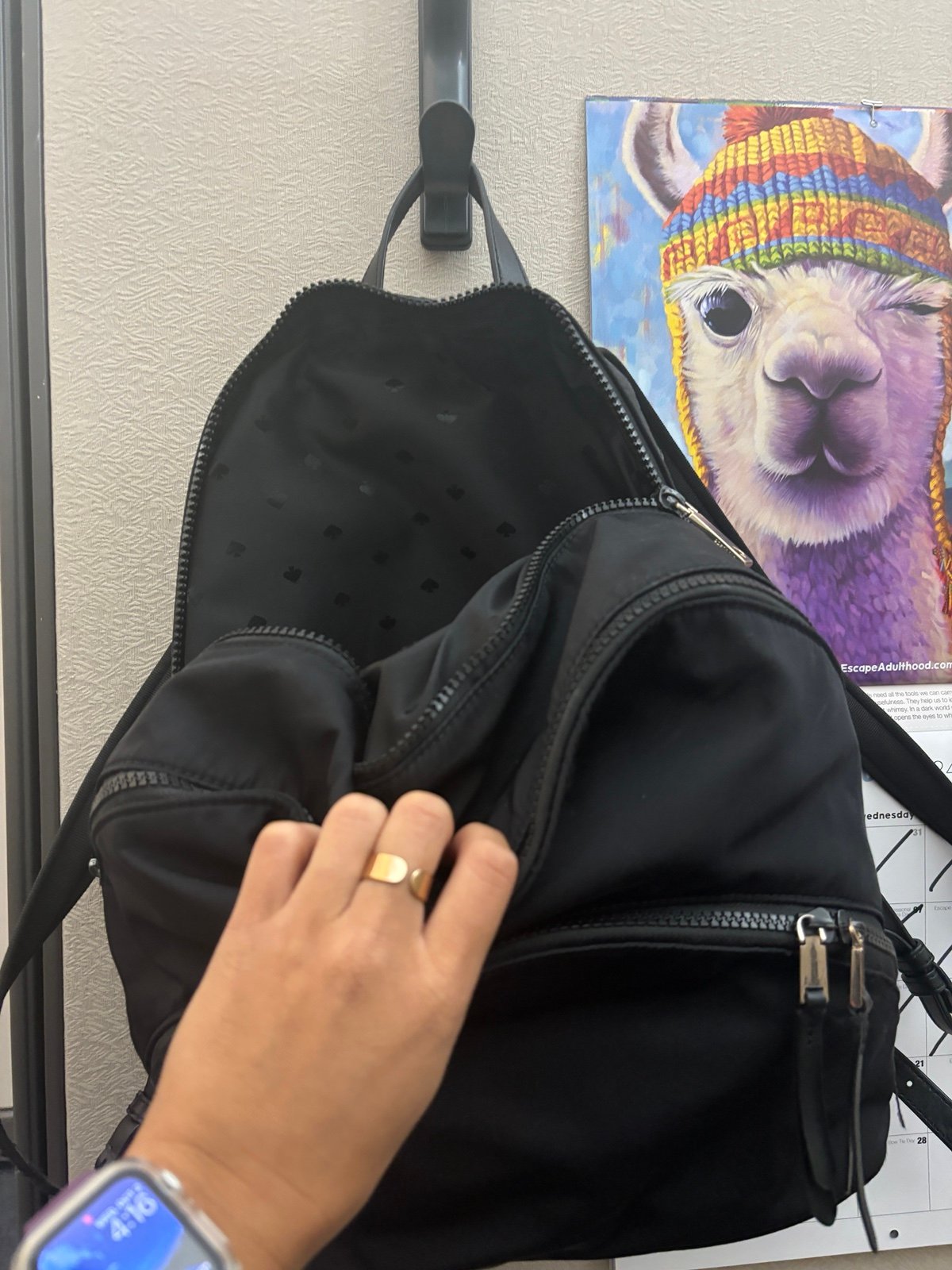 Kate spade backpack
