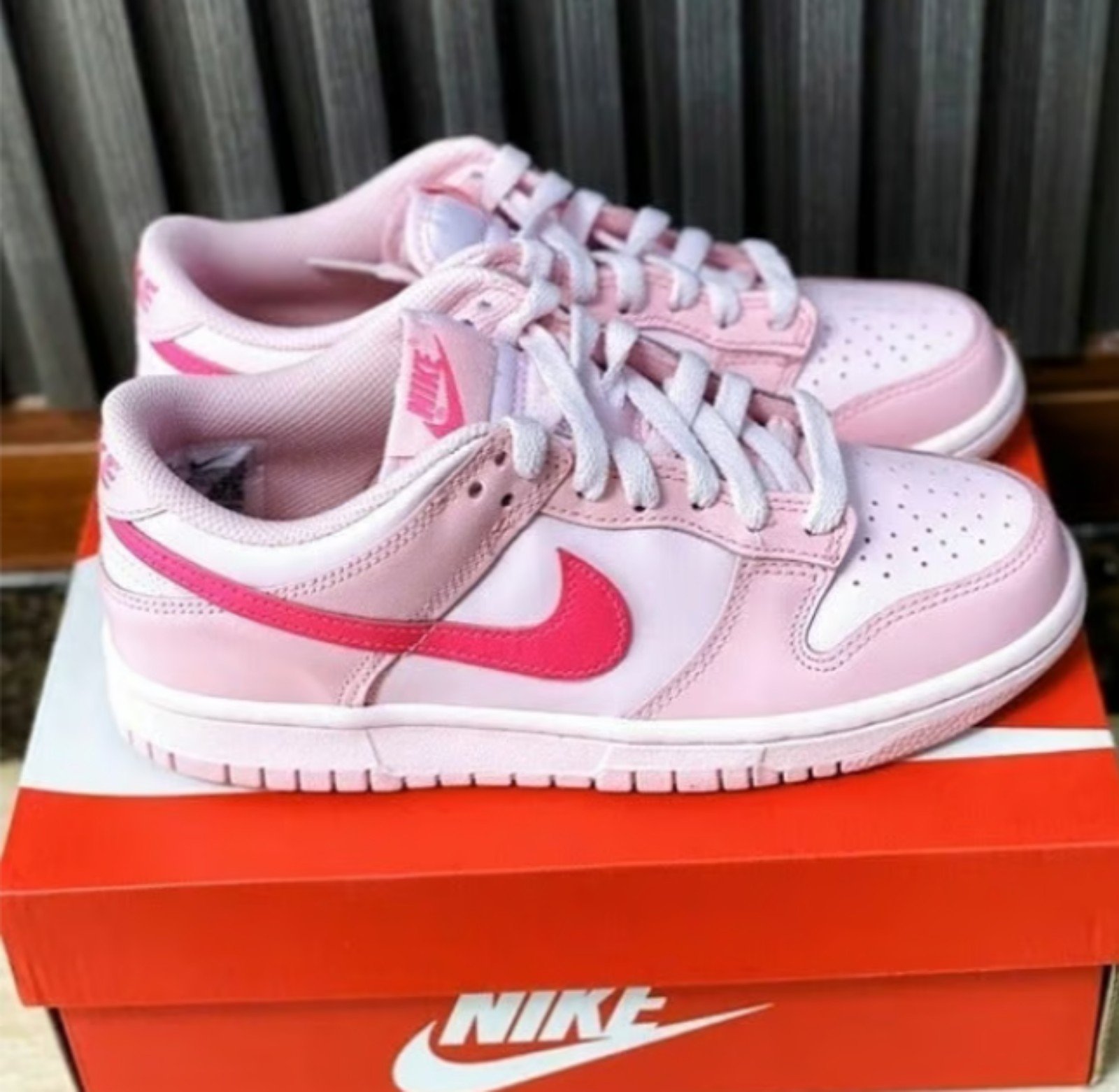 Nike Dunk Low