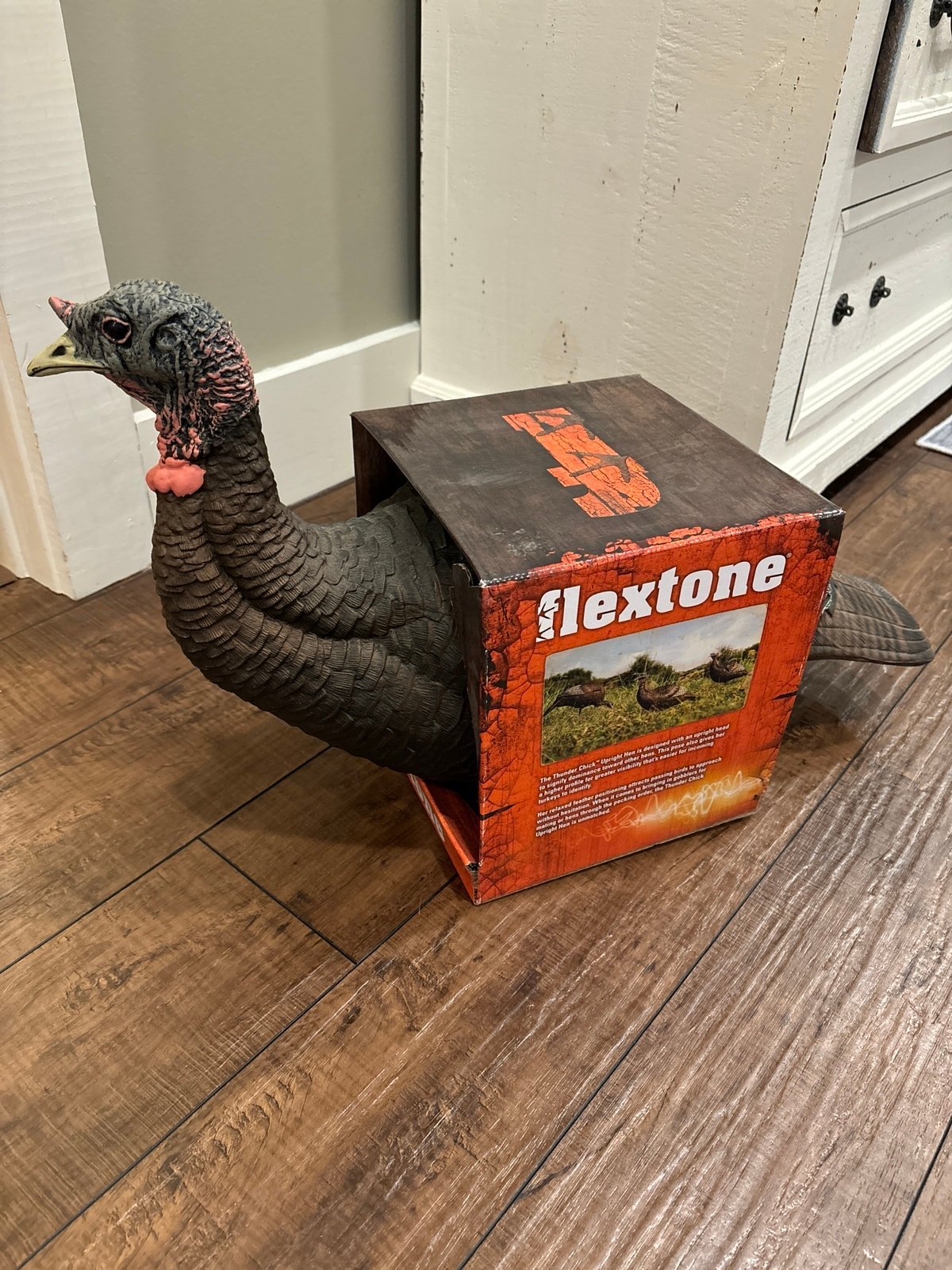 Flextone Thunder Chicken Decoy. NWTF