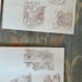 Vintage house mouse designs