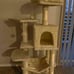 cat tree tower