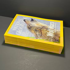 7x National Geographic Magazines Bundle (2010)