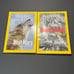 7x National Geographic Magazines Bundle (2010)