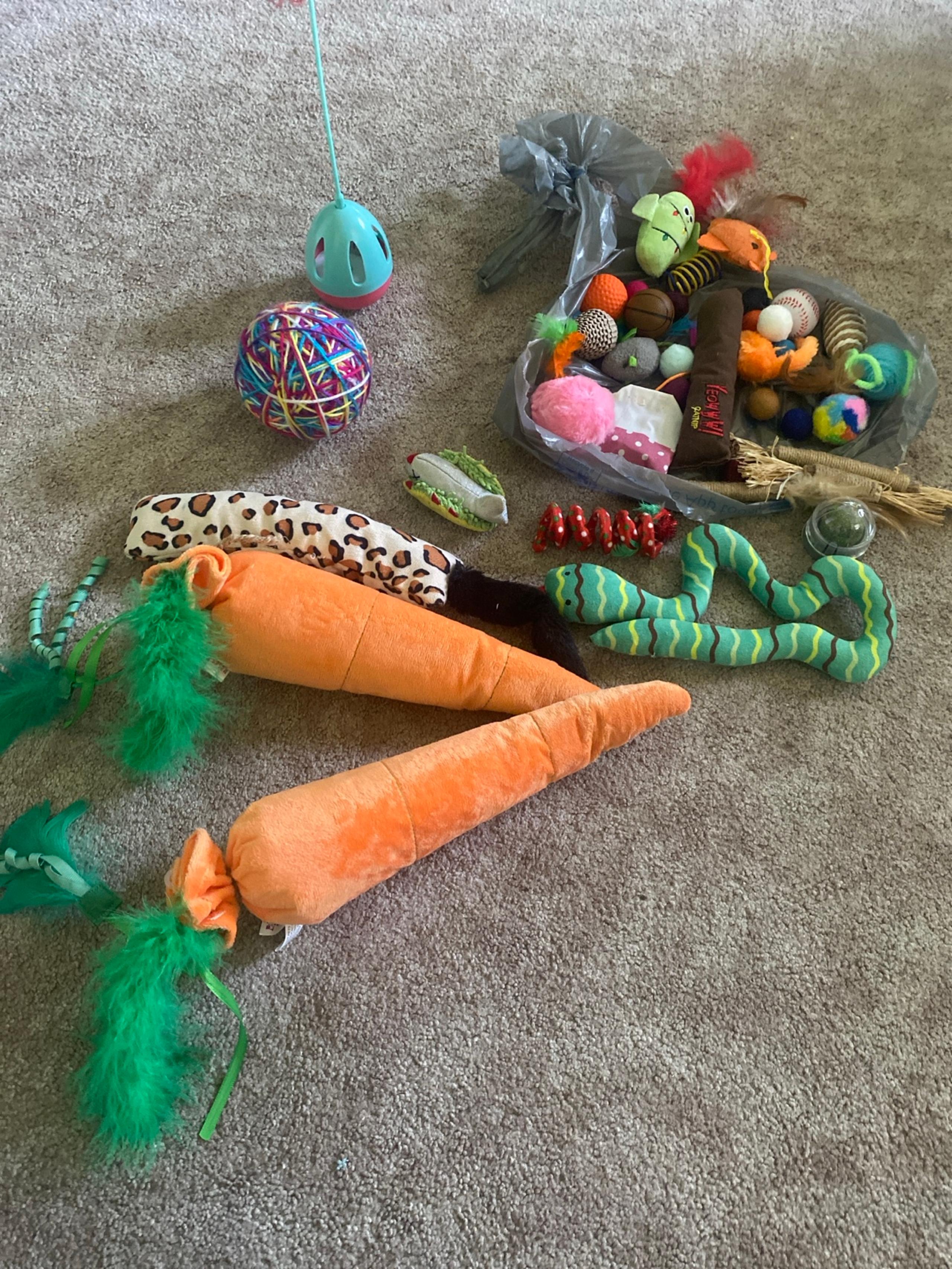 Cat toy bundle