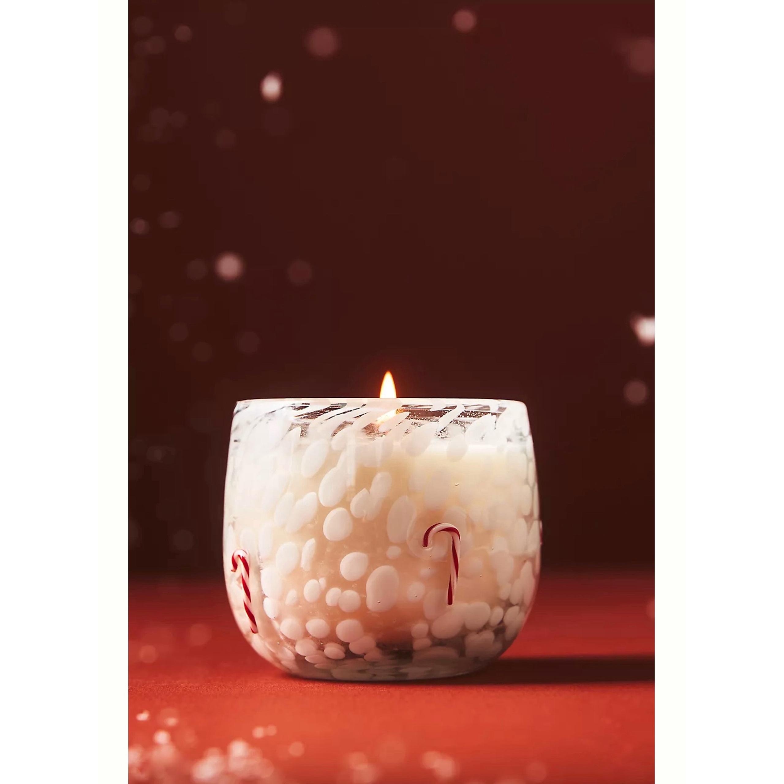 Anthropologie Icon Woody Winter Woods & Vanilla Glass Candle
