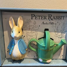 New PETER RABBIT Beatrix Potter Bunny Watering Can Salt & Pepper Shaker Set