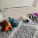 teenie beanie babies