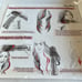Douviva 6 in 1 hair styler NWT