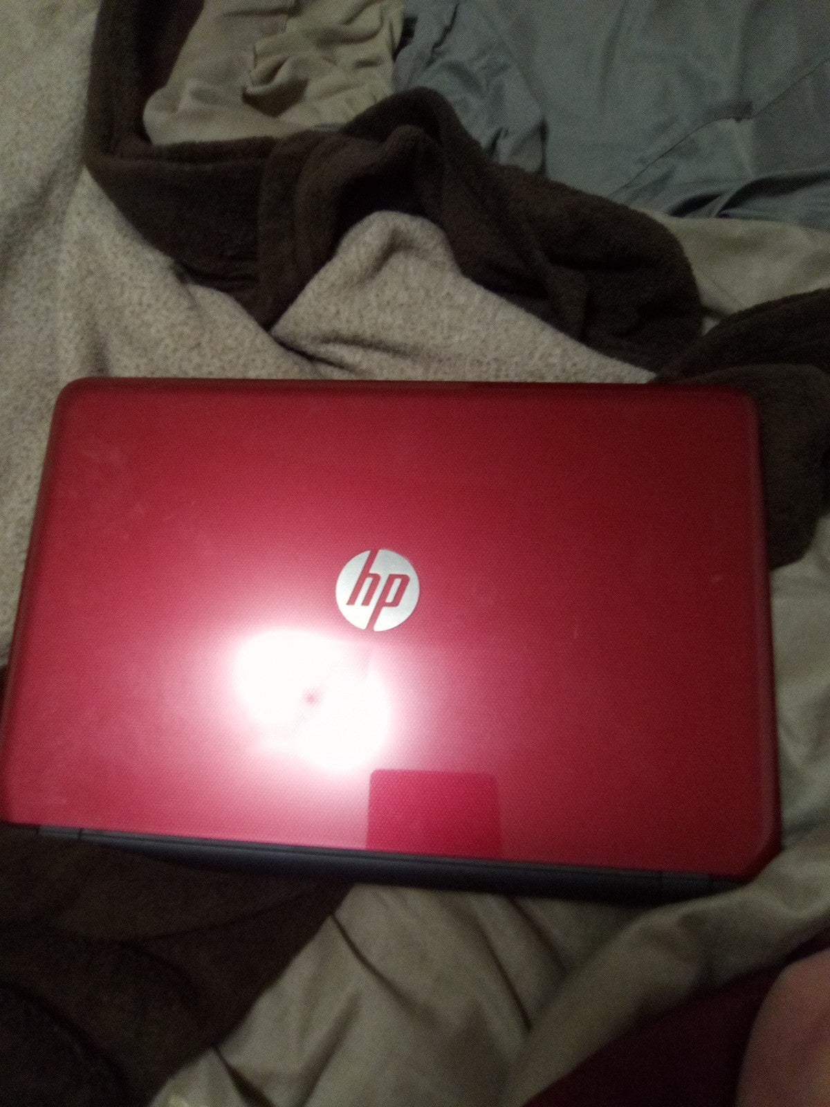 HP Laptop