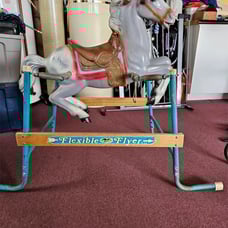 Spring hobby horse