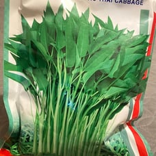 1.1LB（500g/bag） water spinach ong choy 10000+ seeds 12/2023NEW! （2）