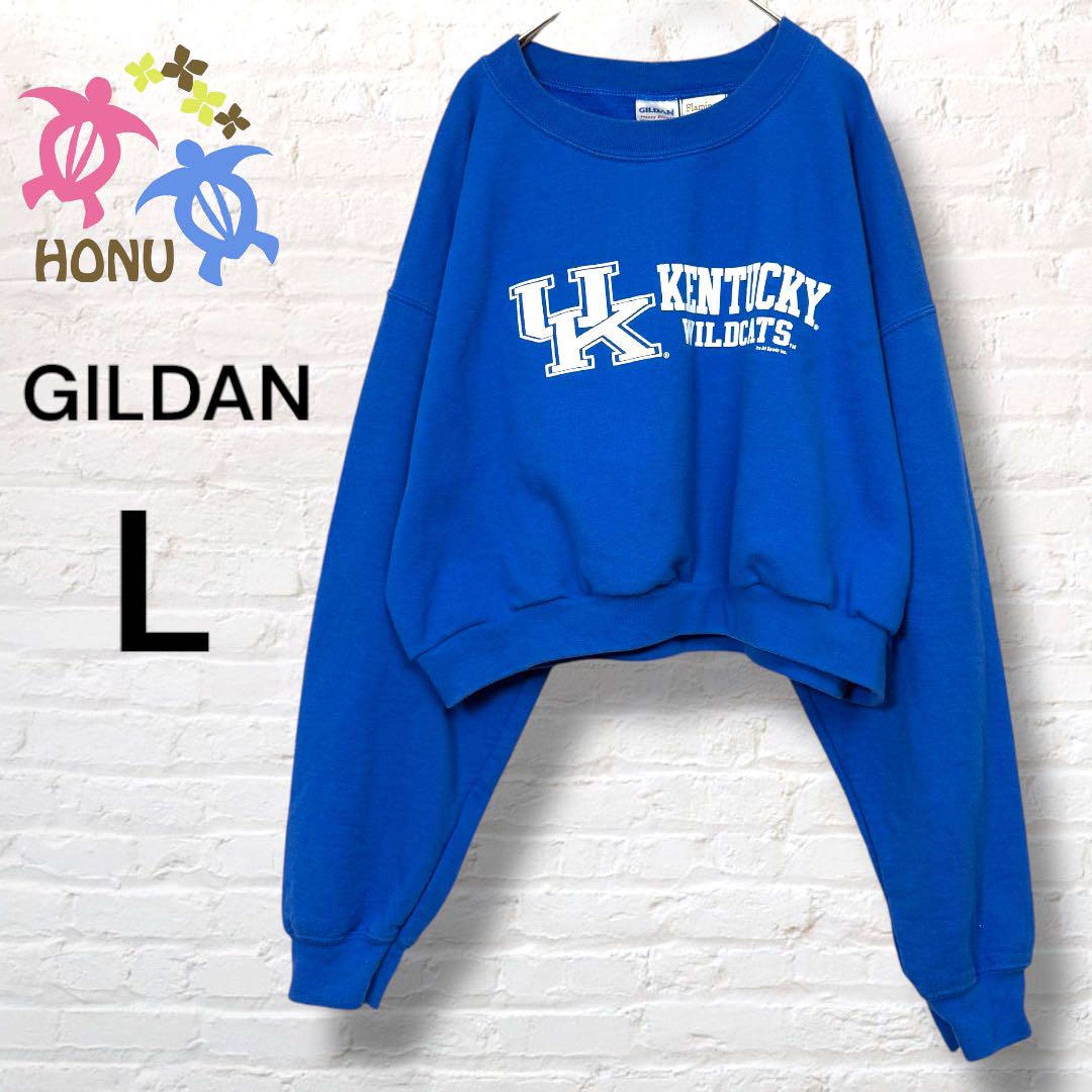 Gildan Sweatshirt 【L】 Short Length Blue Kentucky University Pullover