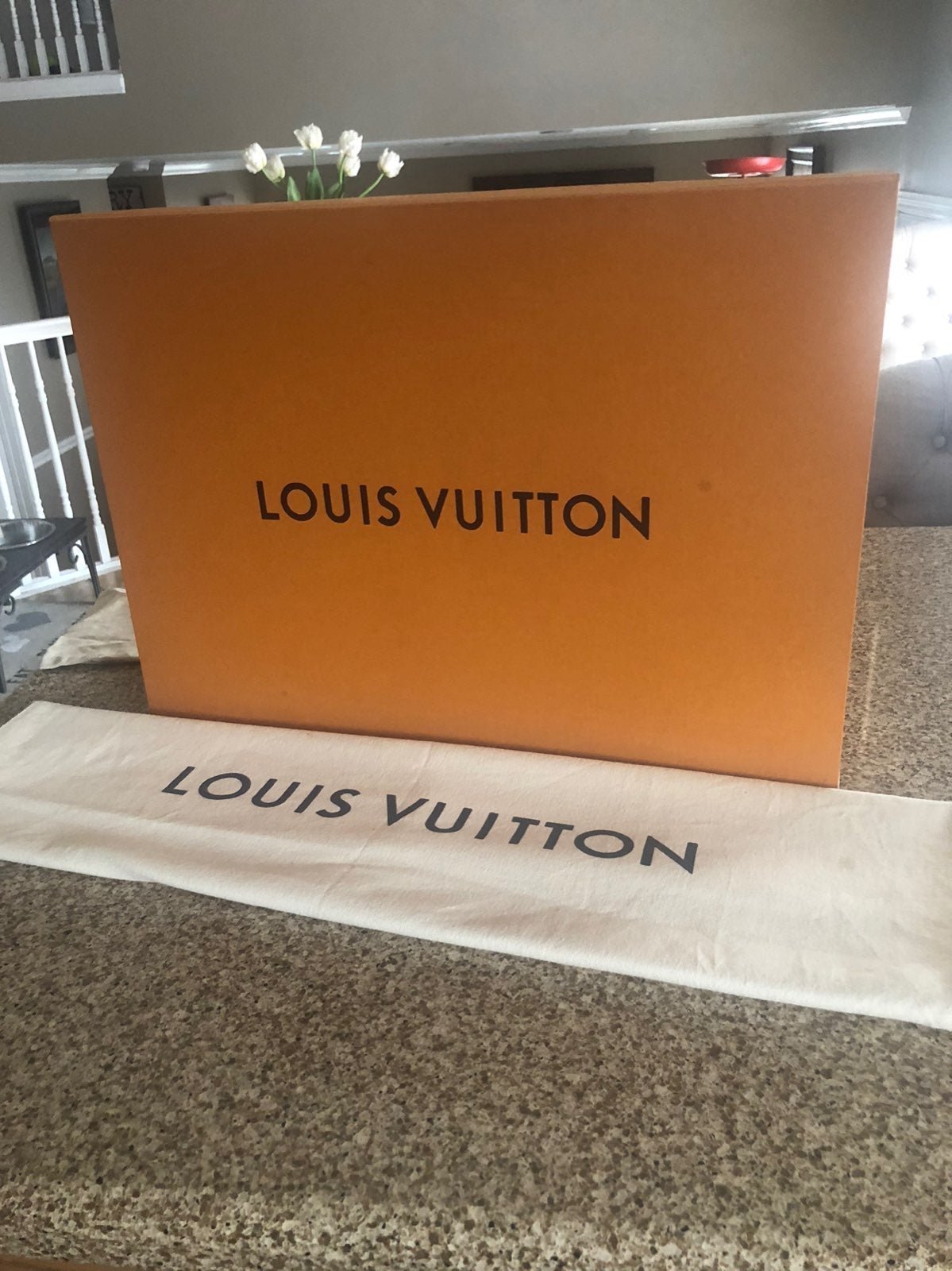 Louis Vuitton empty Box