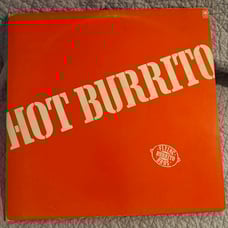 FLYING BURRITO BROTHERS BROS - HOT BURRITO LP Dutch Promo Poster Cover
