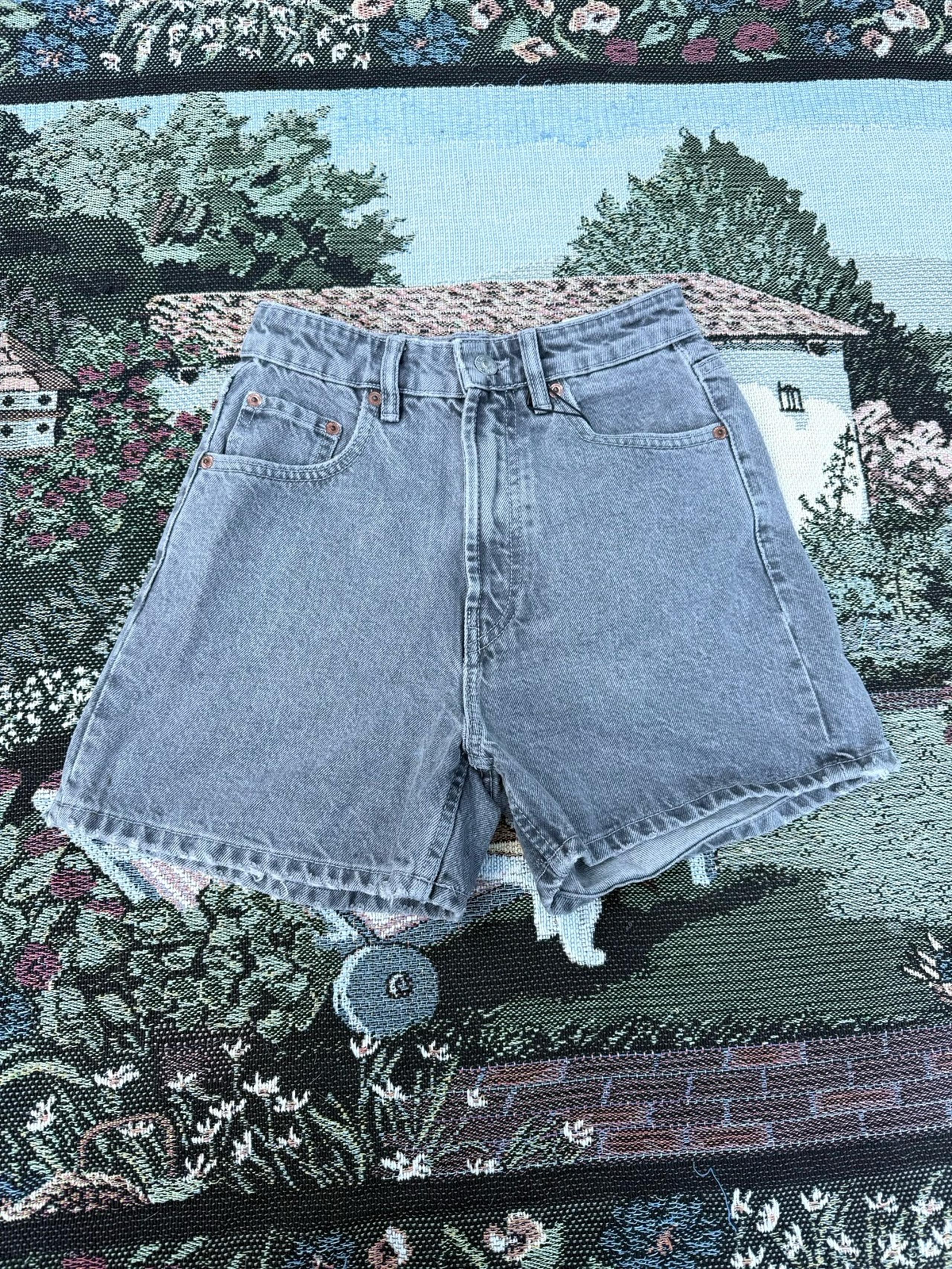 ZARA Jean Shorts