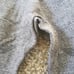 NVGTN | Gray Contour Seamless Leggings C115 - Size X-Small