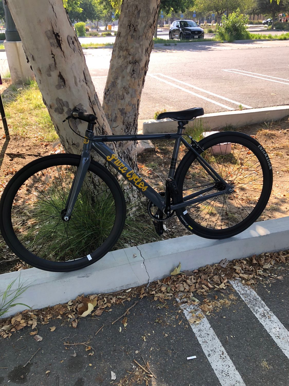 Single speed / fixie / track bike keirin pure cycle