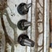 Pro pex heads