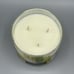 Bath & Body Works 3 Wick Candle FRESH SPRING MORNING