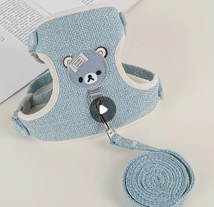 1pc Cartoon Bear Decor Dog Harness And Leash