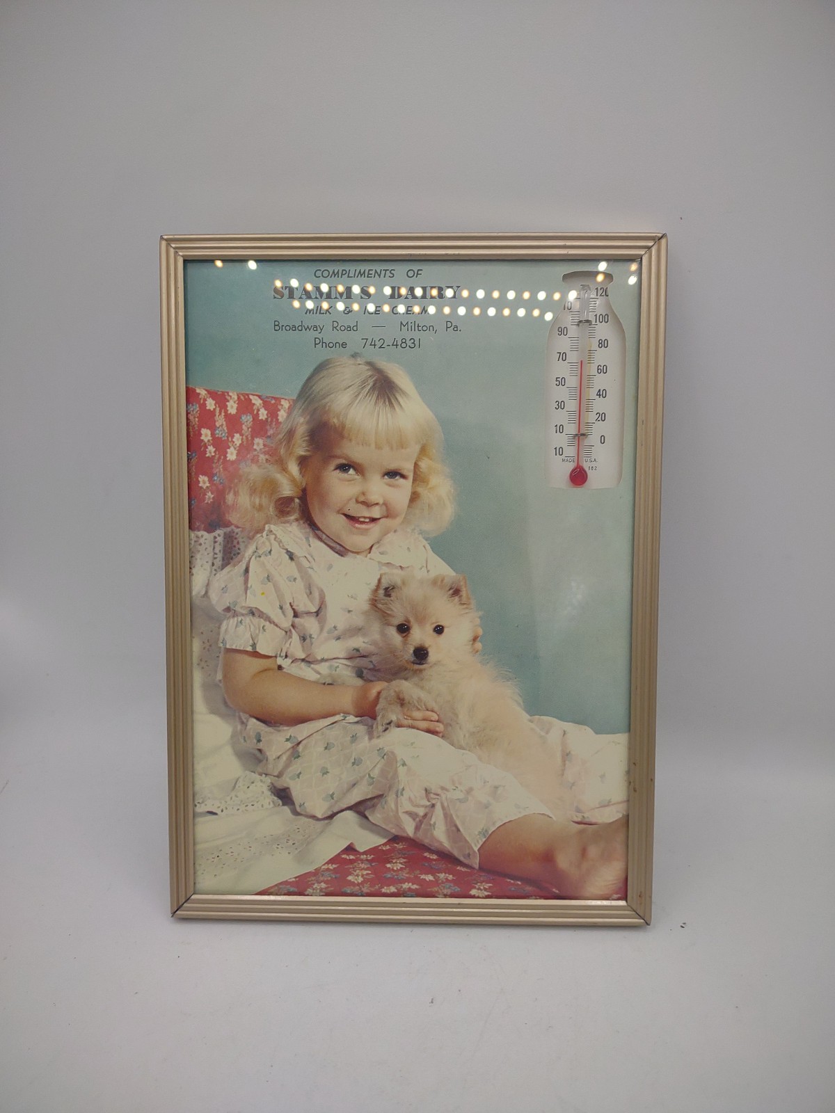 Vintage 1964 stamm's dairy advertising thermometer calendar girl puppy promotion