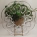 Anchor Hocking Savannah-Clear Deviled Egg Plate Tray