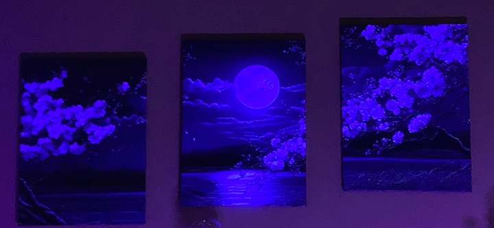 Set of 3 Cherry Blossom Moon Lake Landscape Framed Canvas Wall Art Japanese Art
