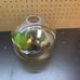 Bepuzz Plug in Glass Pendant Light Mid Century Ceiling Pendant Light Fixtures Gl