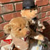Coppertown Bears Mohair collectable Laurel and Hardy bears