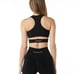 Alphalete Stratus Bra