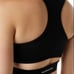 Alphalete Stratus Bra