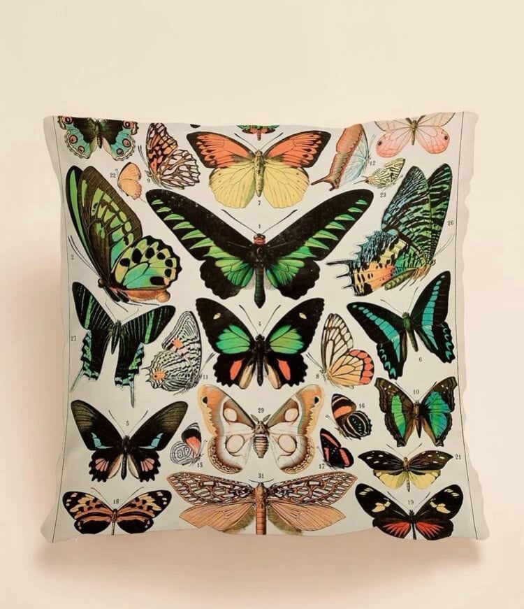 Unique colorful butterfly pillow cover