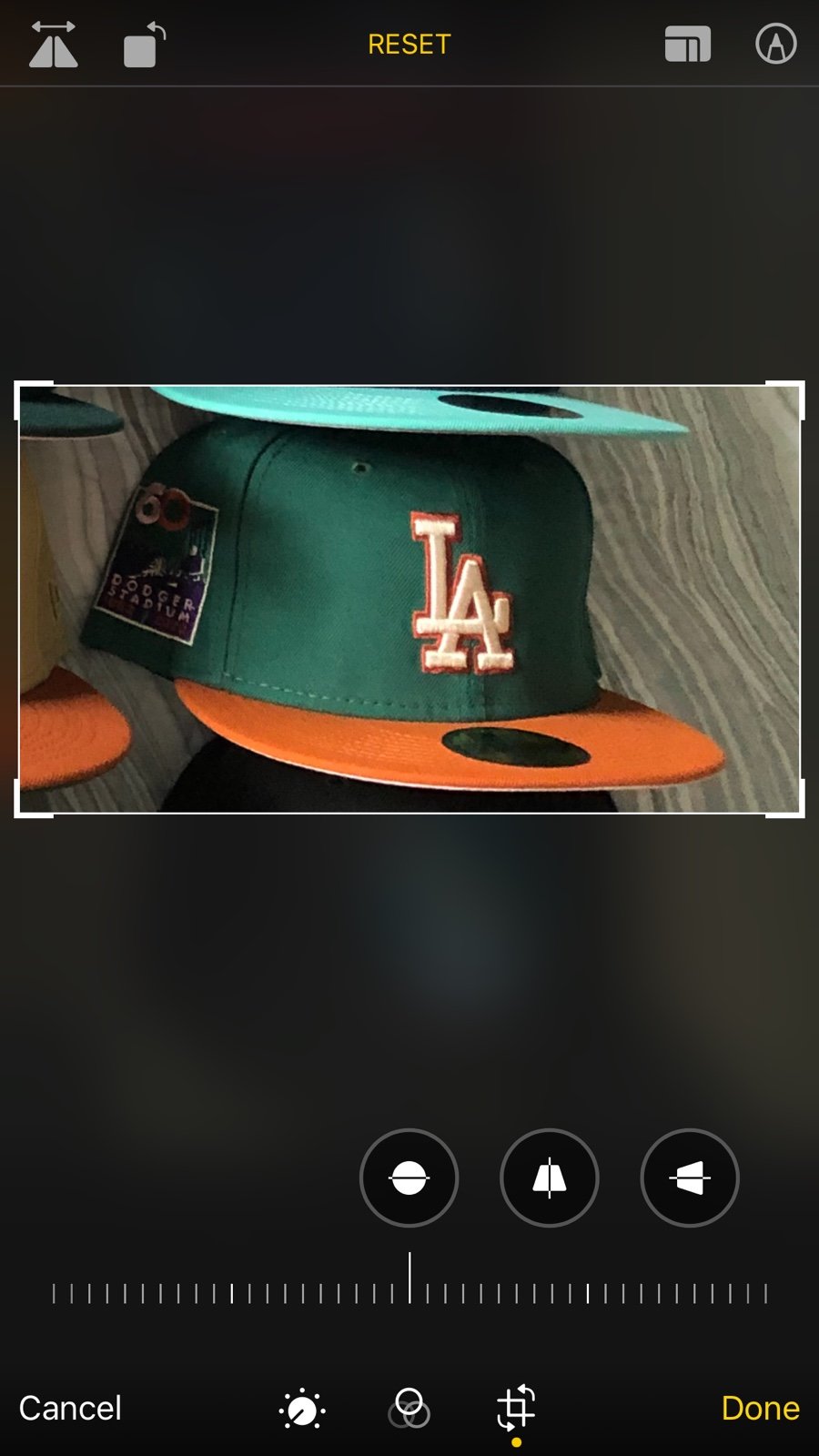 Hatclub dodgers