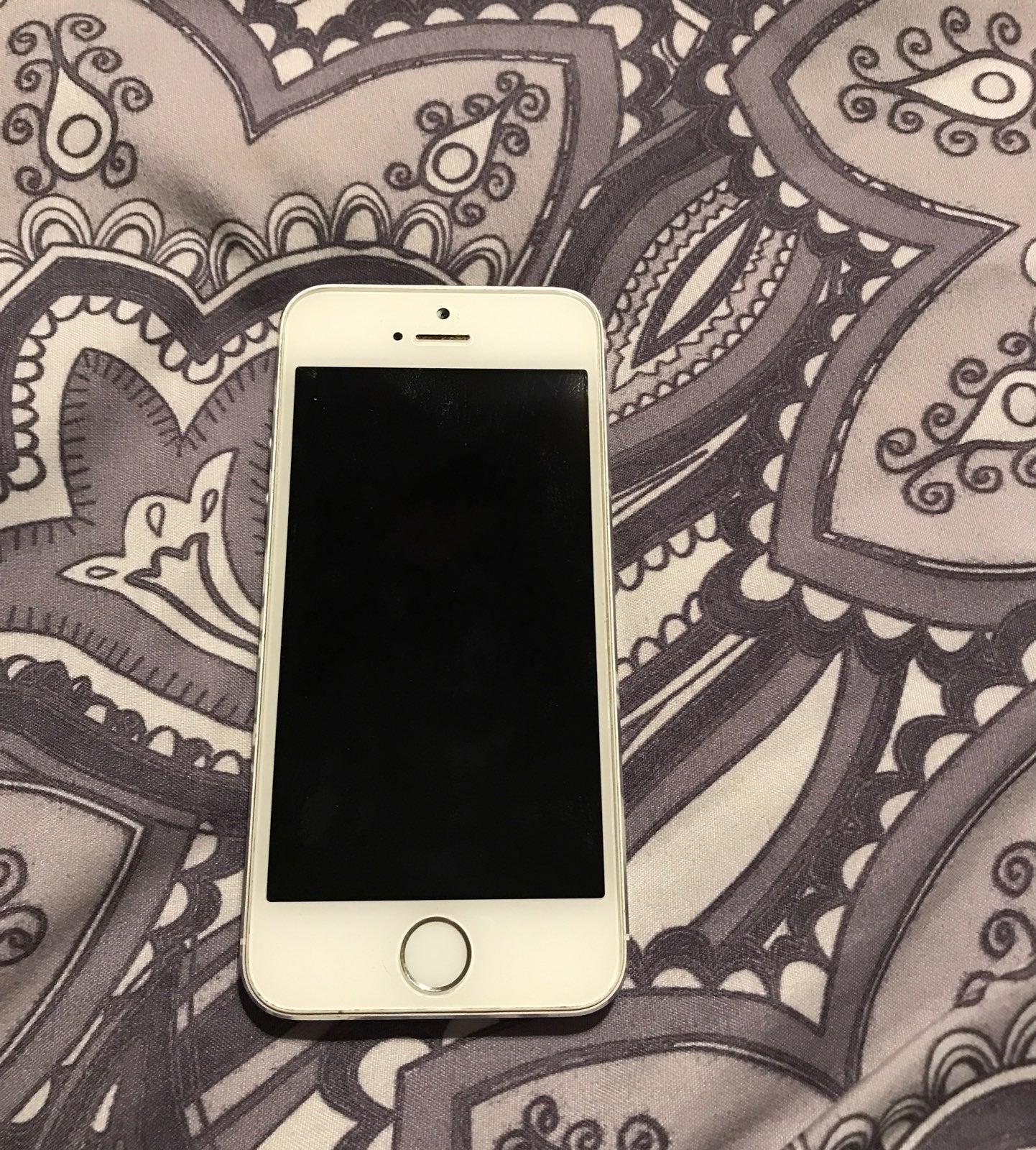 Apple iPhone 5S Silver 16 GB