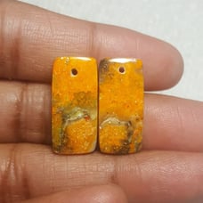 BumbleBee Jasper Natural Gemstone Cab
