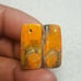 BumbleBee Jasper Natural Gemstone Cab