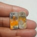 BumbleBee Jasper Natural Gemstone Cab