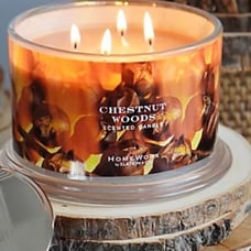 HomeWorx Chestnut Woods Candle Luxury charred praline smoked cedar mahogany NEW