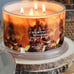 HomeWorx Chestnut Woods Candle Luxury charred praline smoked cedar mahogany NEW