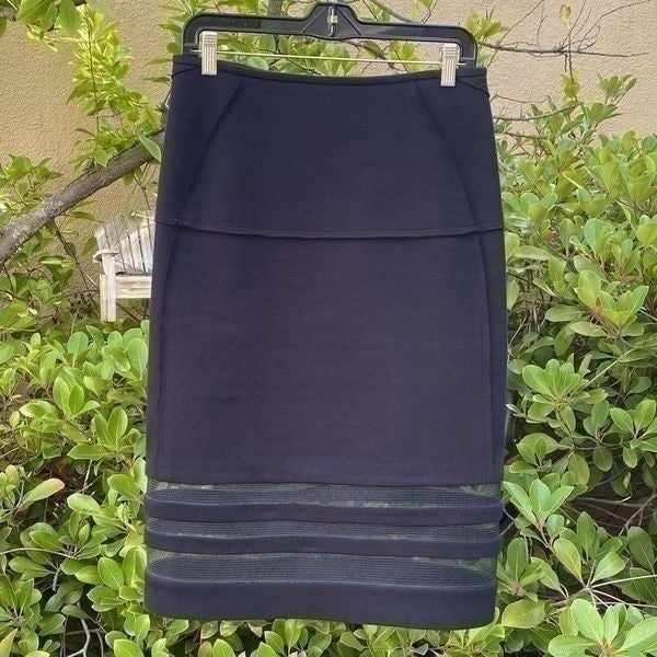Donna Karan Black Skirt with a peek a boo mesh lining at the bottom. Sz 4 EUC!
