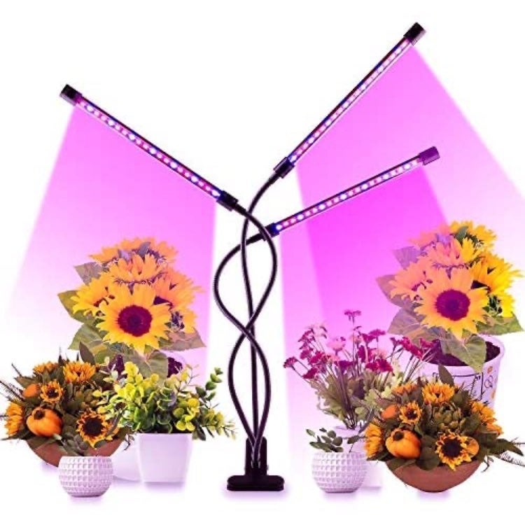 Dimmable Timer Grow Plant Light Lamp with Red Blue Spectrum for Indoor Outdoor