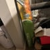propane torch